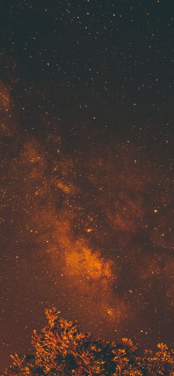 starry sky, stars, night Wallpaper 828x1792