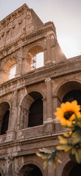 Rome, Italy Wallpaper 1242x2688