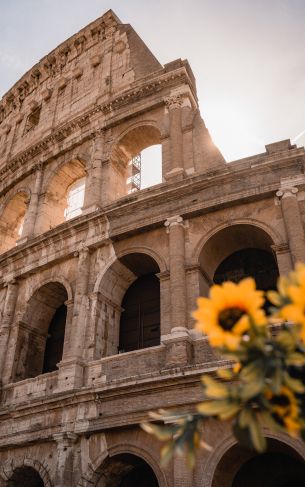 Rome, Italy Wallpaper 1752x2800