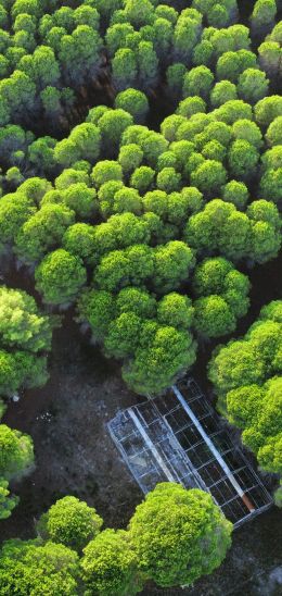 Albania, drone photo Wallpaper 720x1520