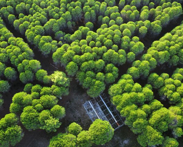 Albania, drone photo Wallpaper 1280x1024