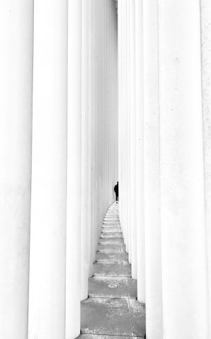 Luxembourg, staircase Wallpaper 1600x2560