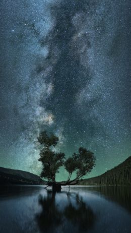 starry sky, stars, lake Wallpaper 720x1280