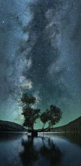 starry sky, stars, lake Wallpaper 1440x2960