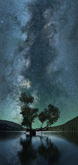 starry sky, stars, lake Wallpaper 720x1520