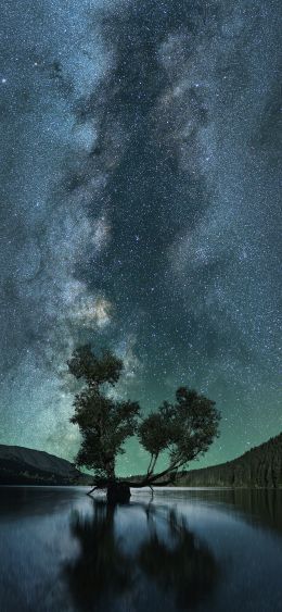 starry sky, stars, lake Wallpaper 1080x2340