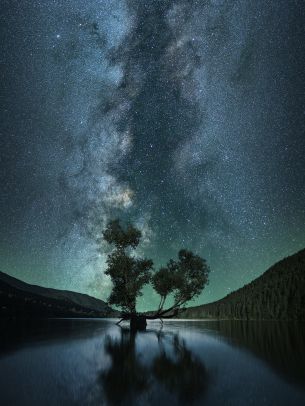 starry sky, stars, lake Wallpaper 1668x2224