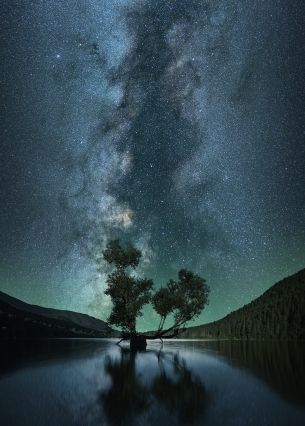starry sky, stars, lake Wallpaper 2143x3000
