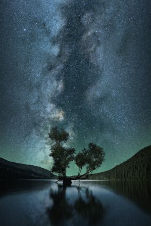 Обои 640x960 звездное небо, звезды, озеро