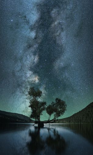 starry sky, stars, lake Wallpaper 1200x2000