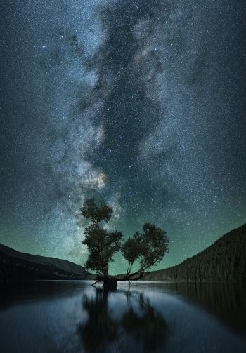 starry sky, stars, lake Wallpaper 1640x2360