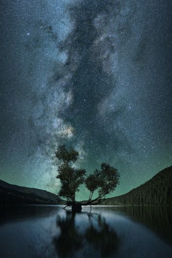 starry sky, stars, lake Wallpaper 640x960