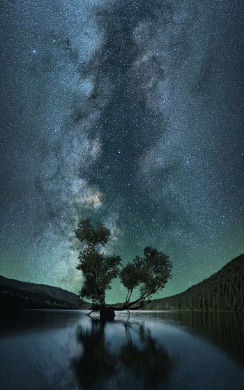 starry sky, stars, lake Wallpaper 1752x2800