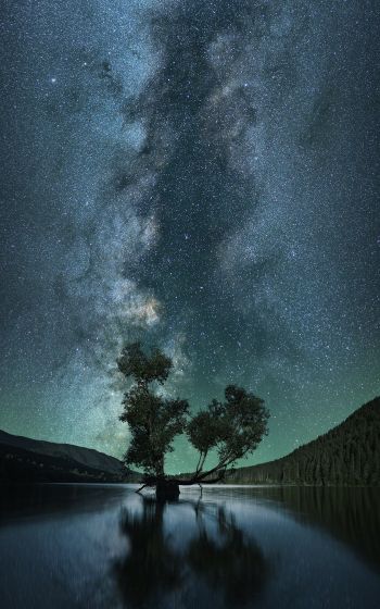 starry sky, stars, lake Wallpaper 1200x1920