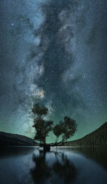 starry sky, stars, lake Wallpaper 600x1024