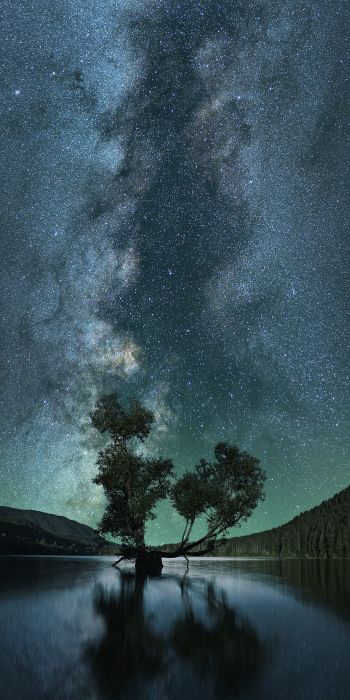 starry sky, stars, lake Wallpaper 720x1440