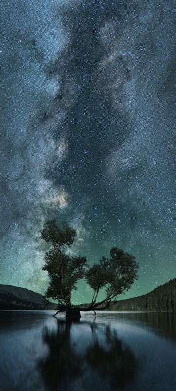 Обои 720x1600 звездное небо, звезды, озеро