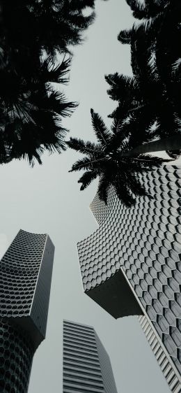 Singapore, skyscrapers Wallpaper 1125x2436