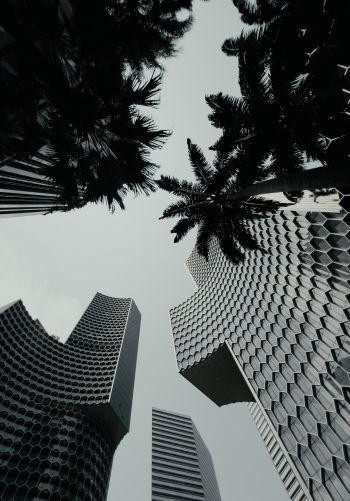 Singapore, skyscrapers Wallpaper 1668x2388