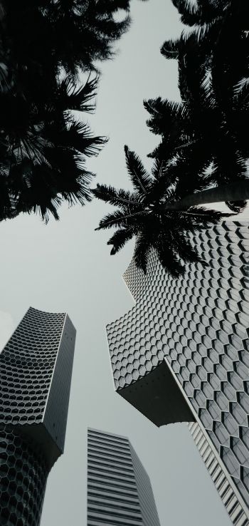 Singapore, skyscrapers Wallpaper 1080x2280