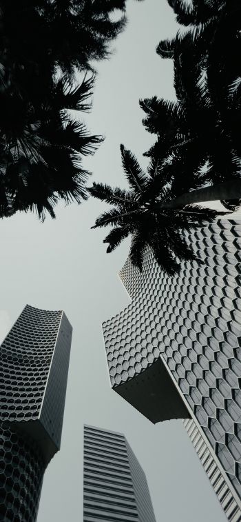 Singapore, skyscrapers Wallpaper 1284x2778