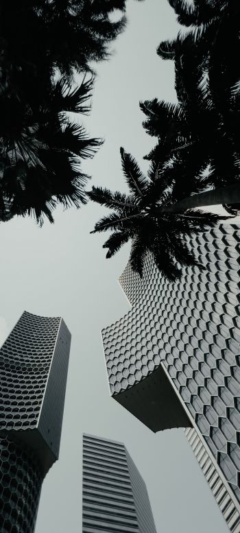 Singapore, skyscrapers Wallpaper 1080x2400