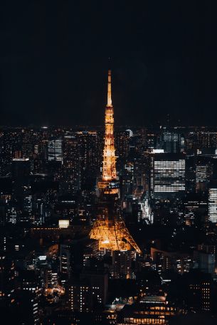 Tokyo Tower, Tokyo Wallpaper 4237x6355