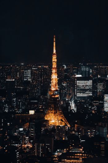 Обои 640x960 Телевизионная башня Токио, Токио