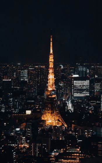 Обои 1600x2560 Телевизионная башня Токио, Токио