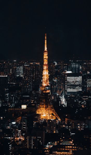 Обои 600x1024 Телевизионная башня Токио, Токио