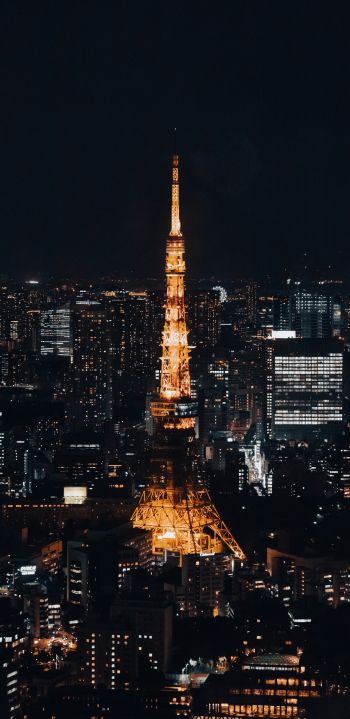 Обои 1440x2960 Телевизионная башня Токио, Токио