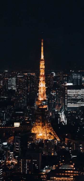 Обои 828x1792 Телевизионная башня Токио, Токио