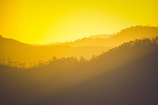yellow sunset, over the forest Wallpaper 6000x4000