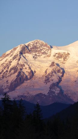 Ashford, Washington, USA Wallpaper 640x1136