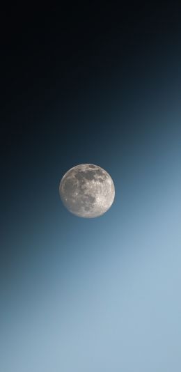 Обои 1080x2220 луна, голубое небо