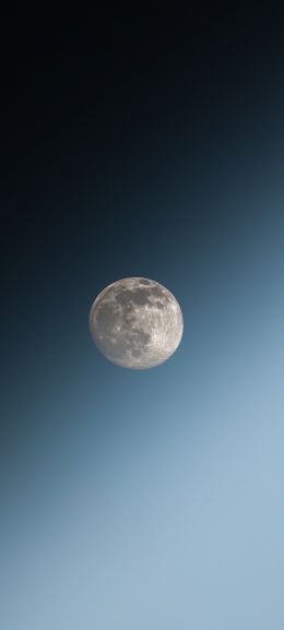 moon, blue sky Wallpaper 1440x3200