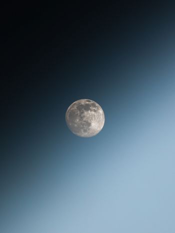 moon, blue sky Wallpaper 1668x2224