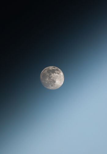 Обои 1640x2360 луна, голубое небо