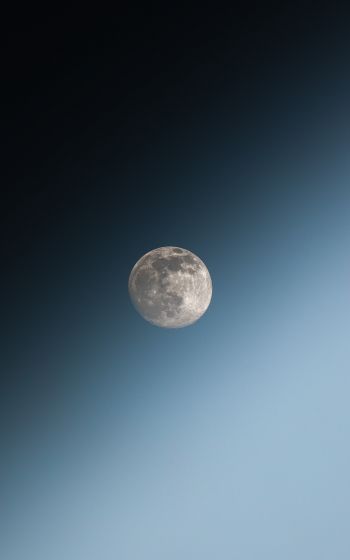 Обои 1600x2560 луна, голубое небо