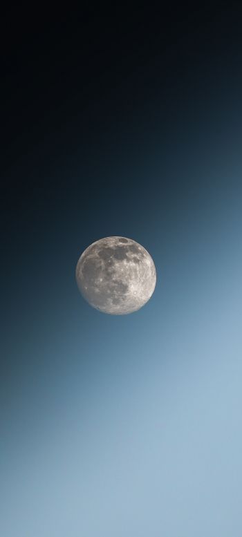 Обои 1080x2400 луна, голубое небо