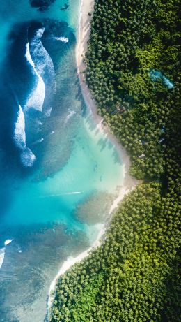 bird's eye view, sea Wallpaper 640x1136