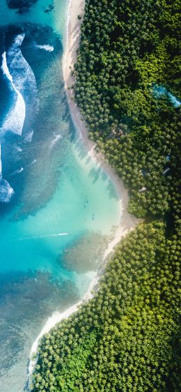 bird's eye view, sea Wallpaper 1170x2532