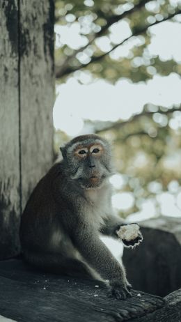 Padang, indonesia Wallpaper 2160x3840