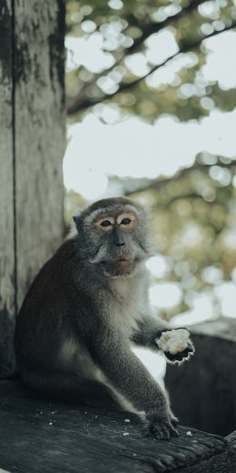 Padang, indonesia Wallpaper 720x1440