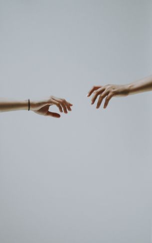 hold your hand, attraction Wallpaper 1600x2560