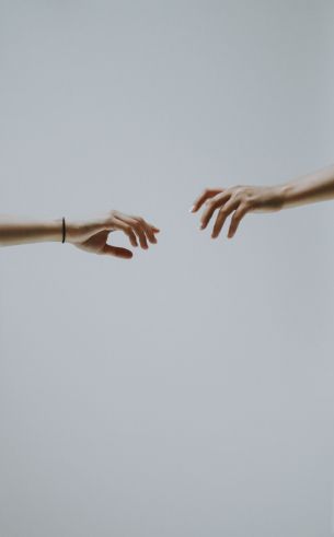 hold your hand, attraction Wallpaper 3248x5235
