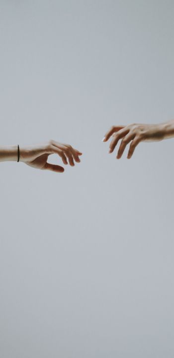 hold your hand, attraction Wallpaper 1080x2220