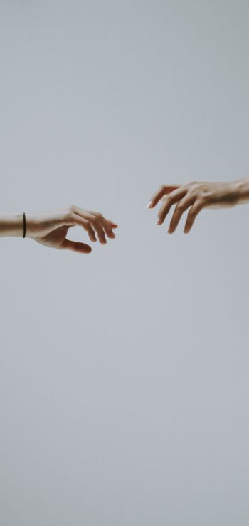 hold your hand, attraction Wallpaper 1440x3040