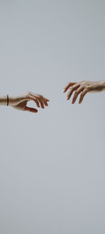 hold your hand, attraction Wallpaper 1440x3200