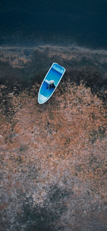 boat, man, water Wallpaper 828x1792